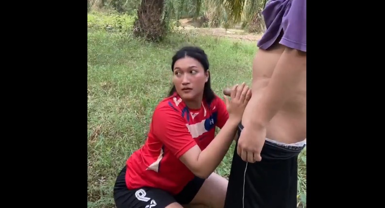 Ngewe Dikebun Sawit